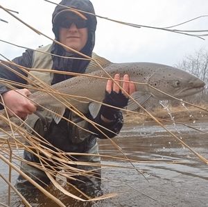 Meet your Posher, Stephane